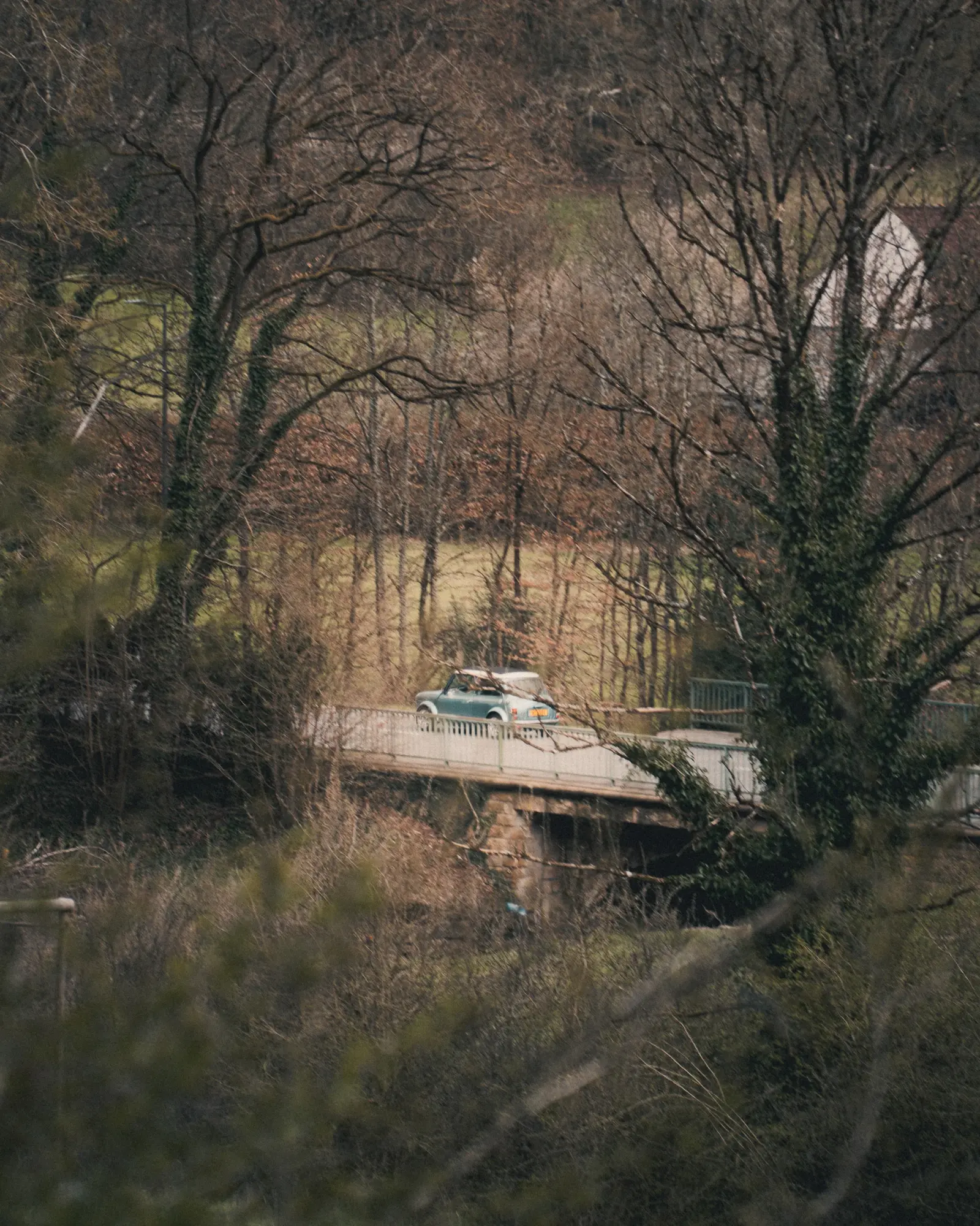 This was one of five cars that went through. Single car driving down a quiet rural road